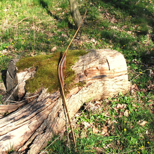 Hybridbogen Hunter Stick / Bodnik Bows